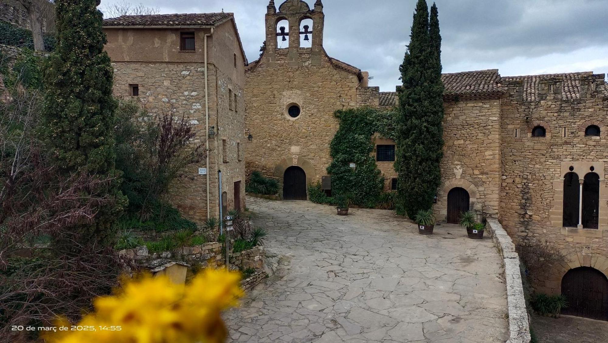 Hotel Cal Alejandro Montsonís Exterior foto